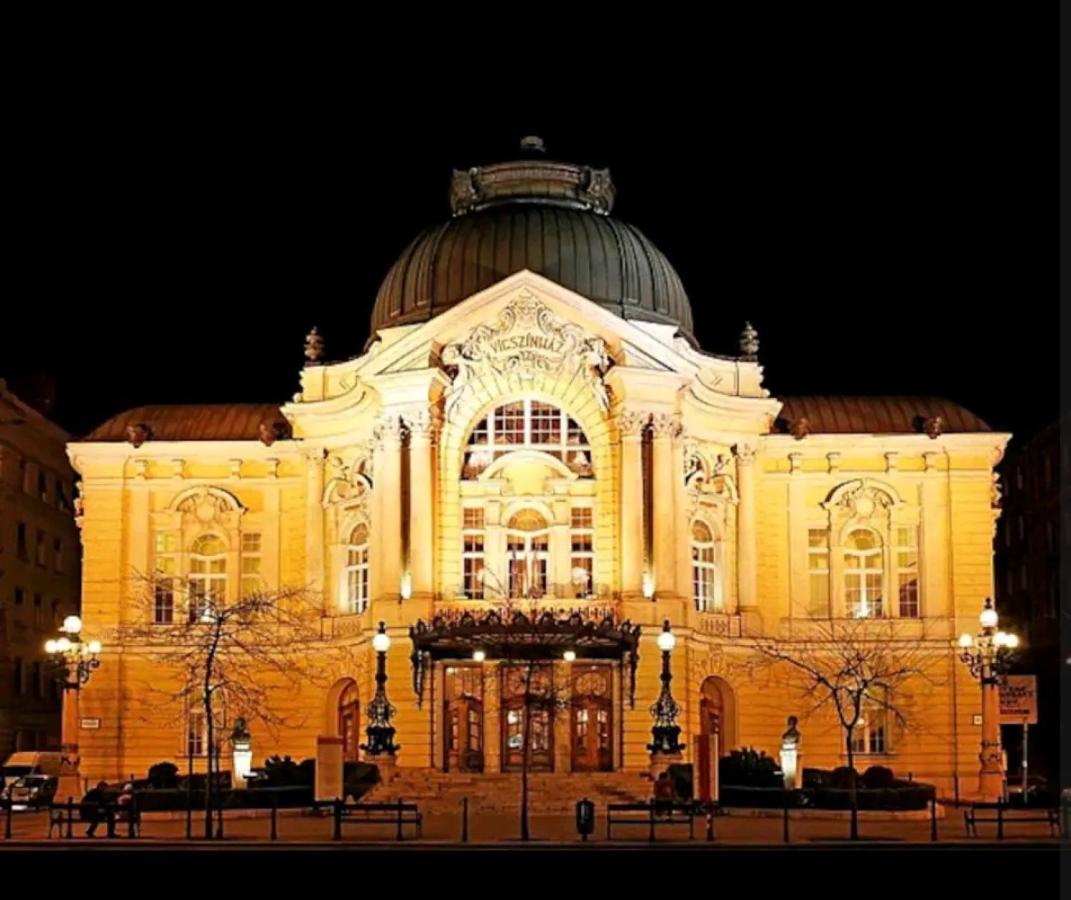 Riverside Mansion Appartement Budapest